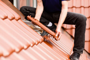 roofing services sebastopol